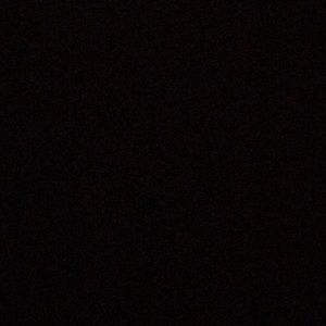 Meet your Posher, Isabella